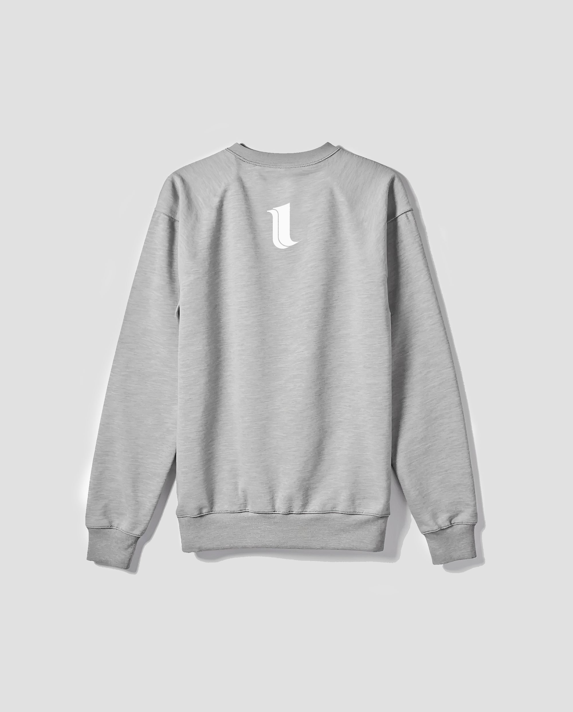 DISRUPTION SWEATSHIRT (GREY)