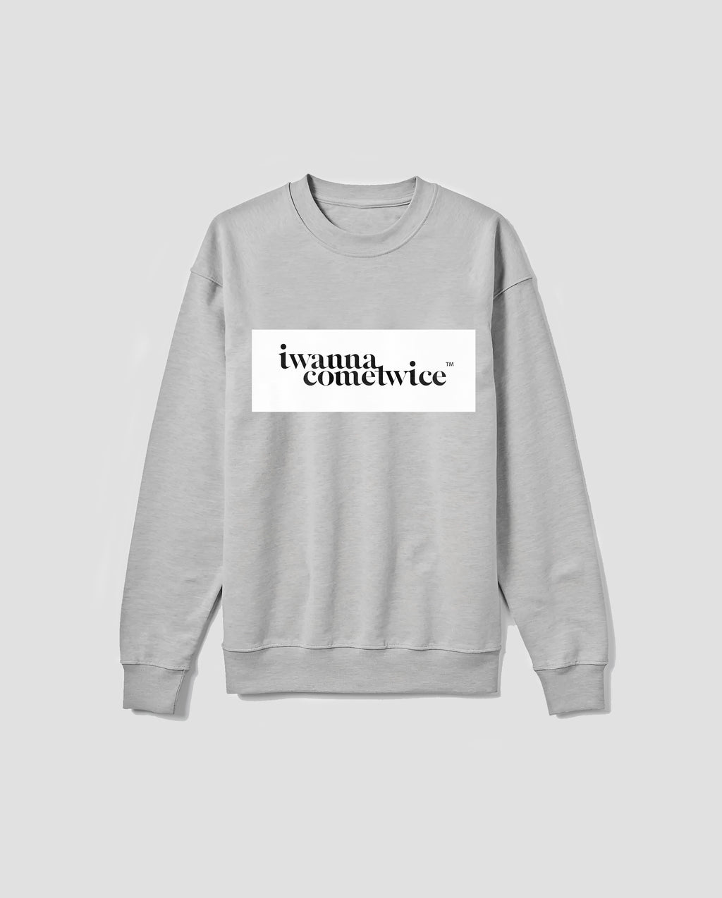 DISRUPTION SWEATSHIRT (GREY)