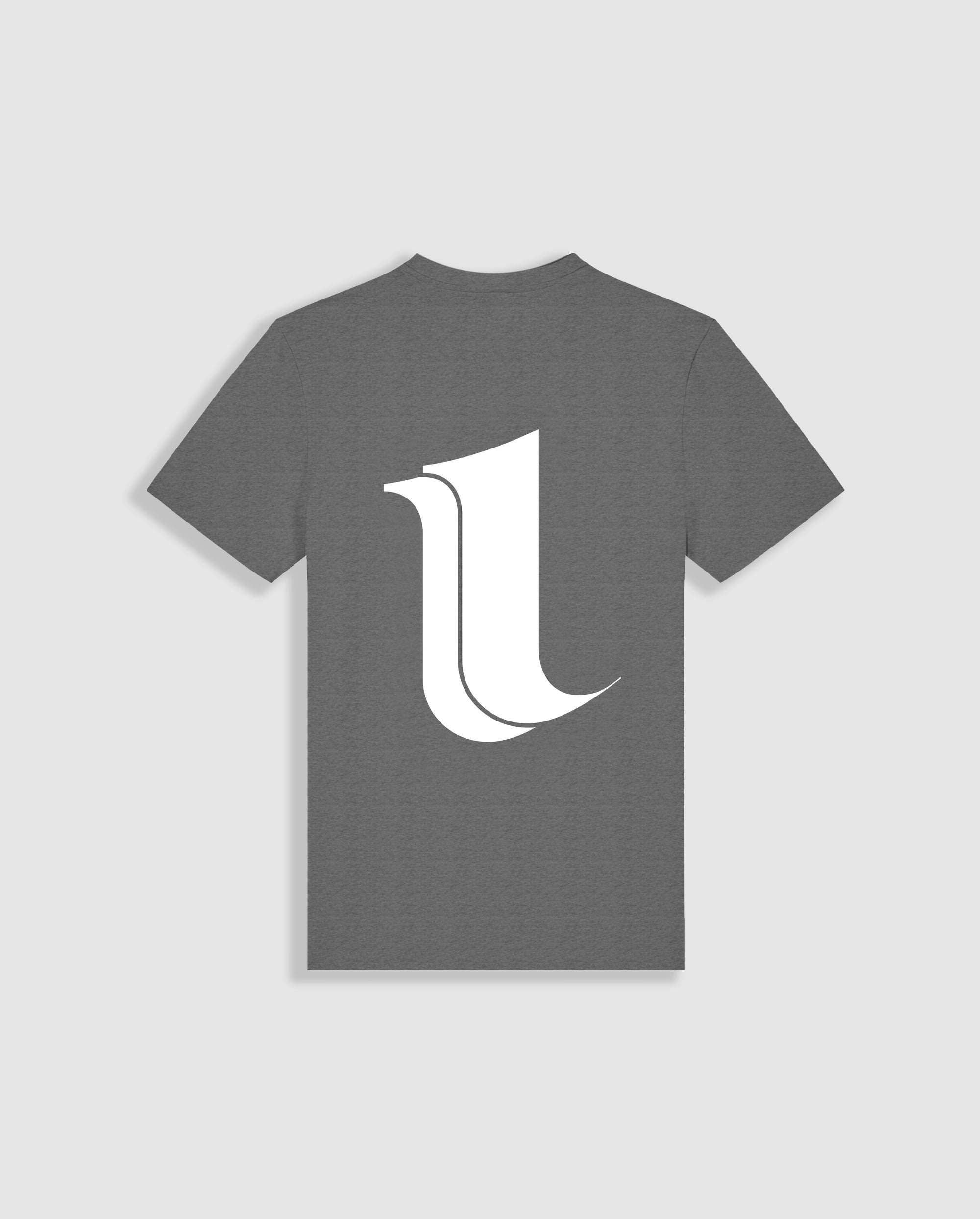 DISRUPTION T-SHIRT (DARK GREY)