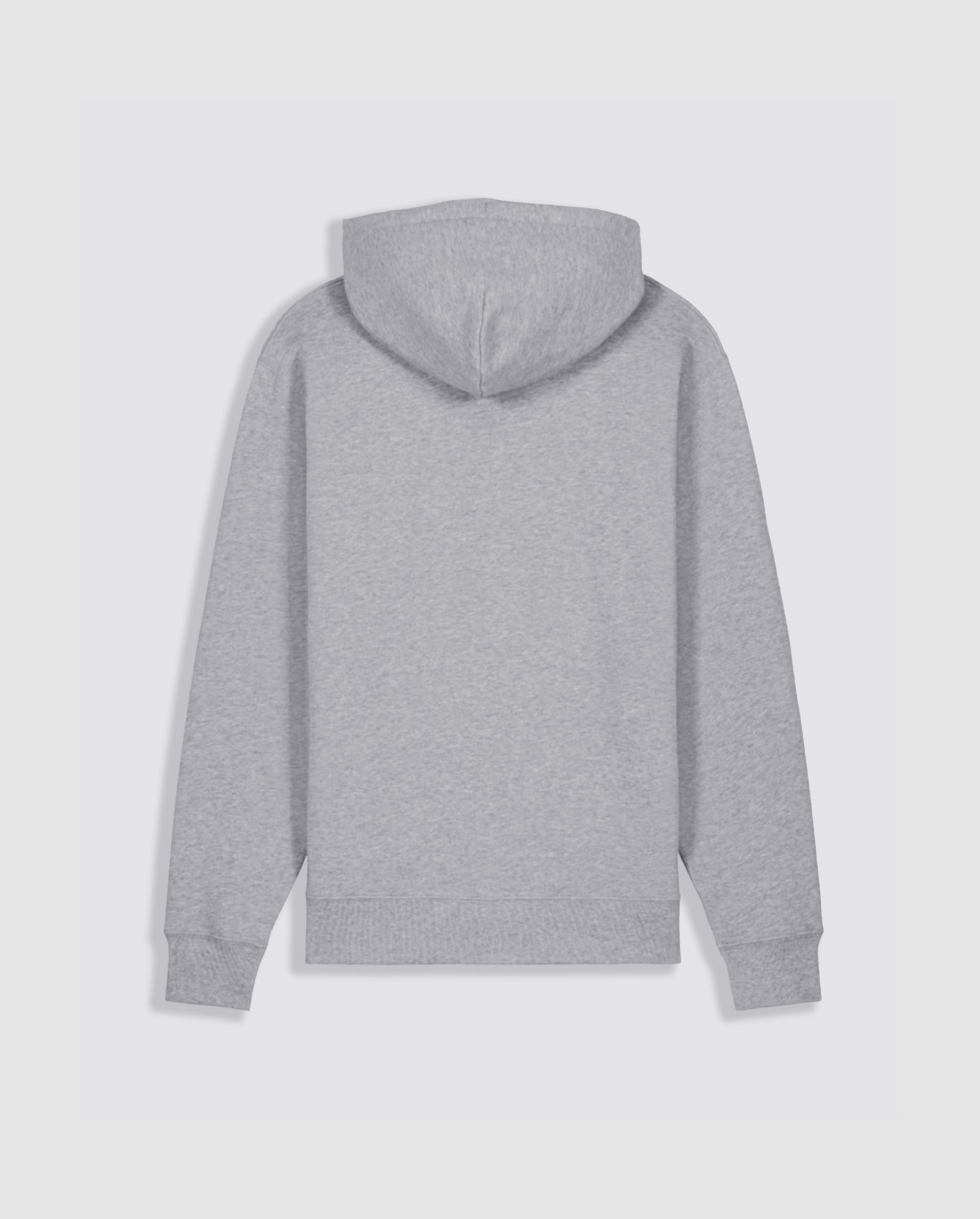 DISRUPTION HOODIE (GREY)